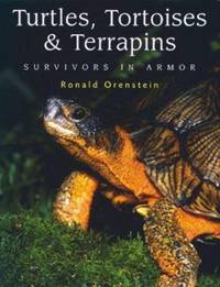 Turtles, Tortoises and Terrapins : Survivors in Armor by Jeanne A. Mortimer; Ronald Orenstein; George R. Zug - 2001