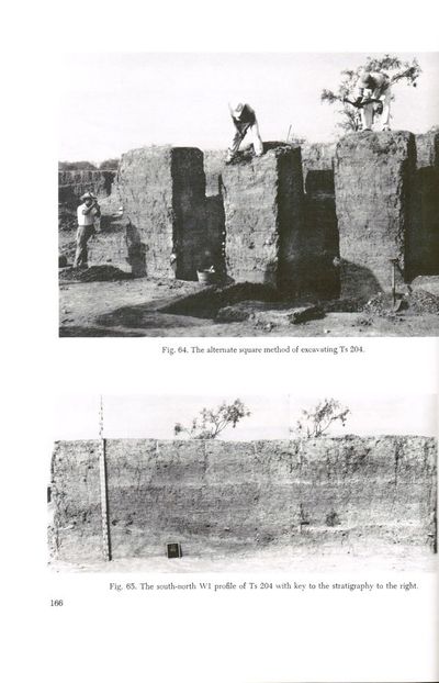 The Prehistory of the Tehuacan Valley. 5 volumes. (photo 3)