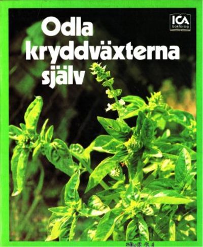Odla kryddväxterna själv.