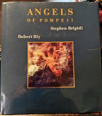 Angels Of Pompeii by Stephen Brigidi Robert Bly - 1992