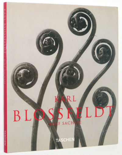 洋書 Karl Blossfeldt:Photographs1865-1932 Karl Blossfeldt, 1865-1932 by Karl Blossfeldt