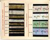 View Image 13 of 18 for Paynes Catalogue of Tapes Inventory #24010285