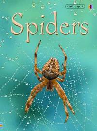 Spiders