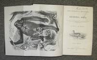 cover of Explorations & Adventures In Equatorial Africa