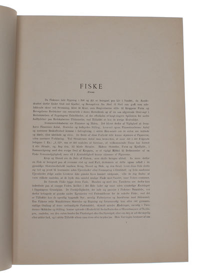 Zoologia Danica. Afbildninger af Danske Dyr med populær Text. 2det Bind: Fiske. Med 33 Kobbertavler. (photo 3)
