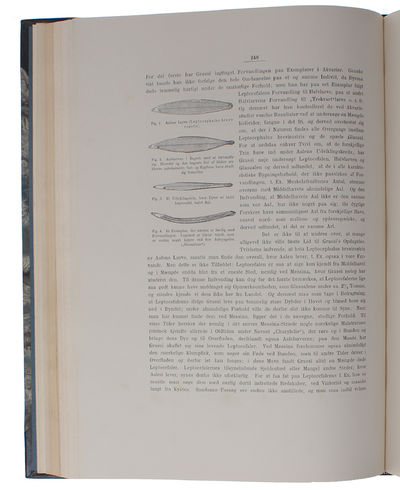 Zoologia Danica. Afbildninger af Danske Dyr med populær Text. 2det Bind: Fiske. Med 33 Kobbertavler. (photo 4)