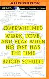 Overwhelmed: Work, Love, and Play When No One Has the Time