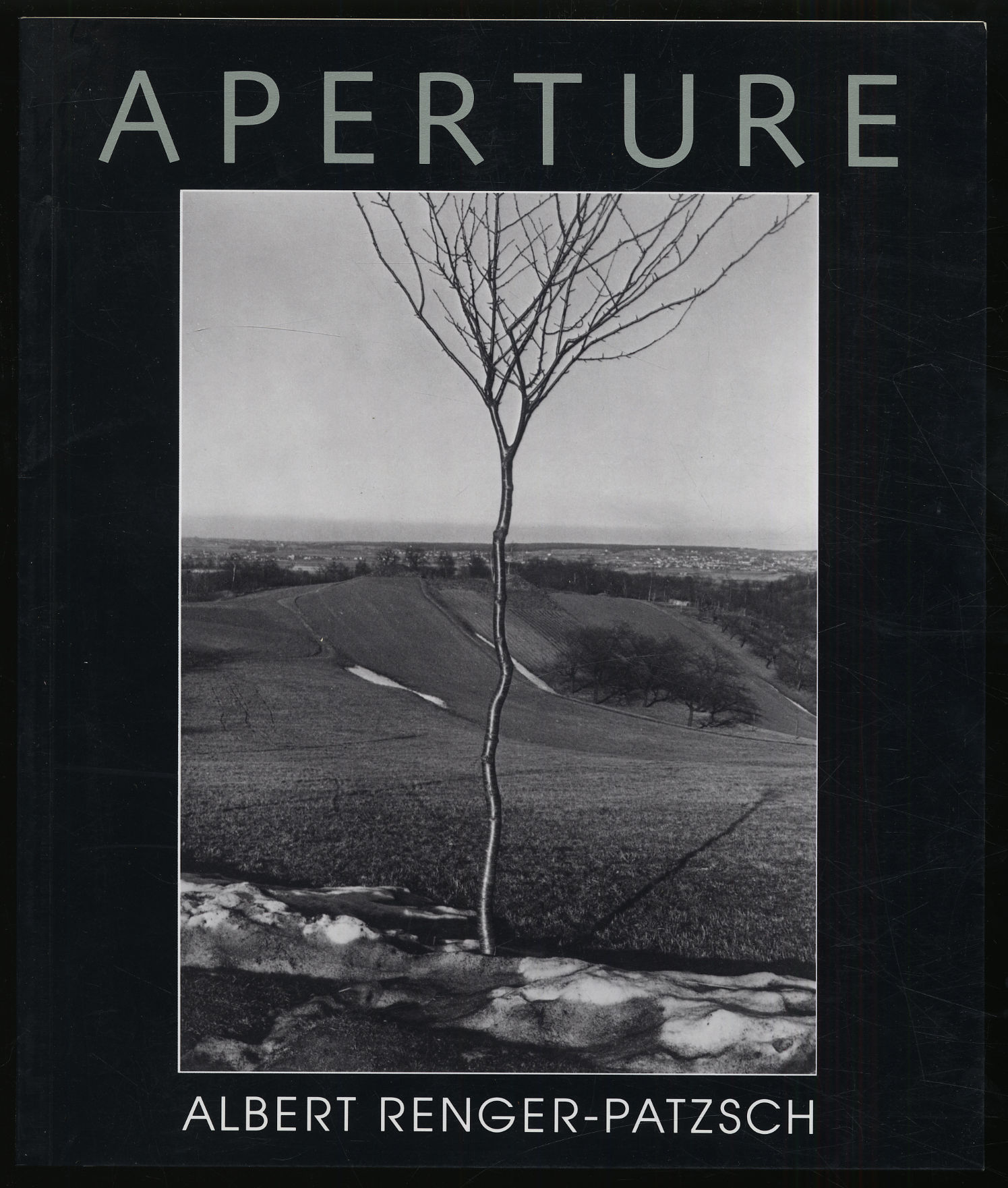 Aperture 131: Albert Renger-Patzsch