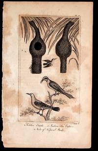 Print from A History of the Earth and Animated Nature