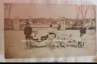 cover of GOAT CARRIAGE