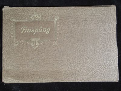 FINSPÅNG.