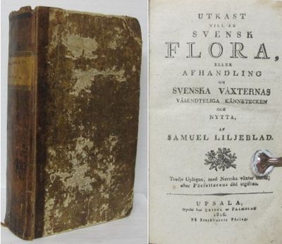 Utkast till en svensk flora, eller afhandling om…