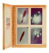 View Image 4 of 5 for Photo Album of Flying Saucers Inventory #140948111