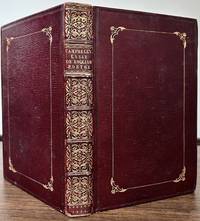 Essay On English Poetry