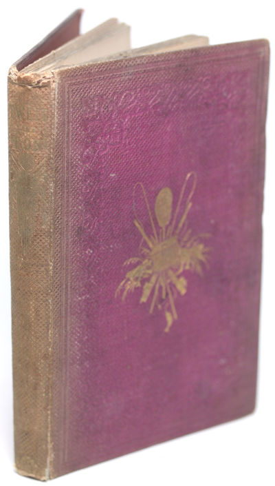 Tweed and Don; or, recollections and reflections…