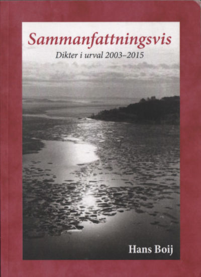 SAMMANFATTNINGSVIS. Boijku och treradingar i…