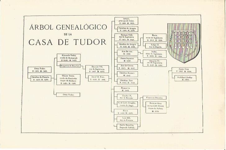 LAMINA V06682: Arbol genealogico de la casa de Tudor by Varios | 1928