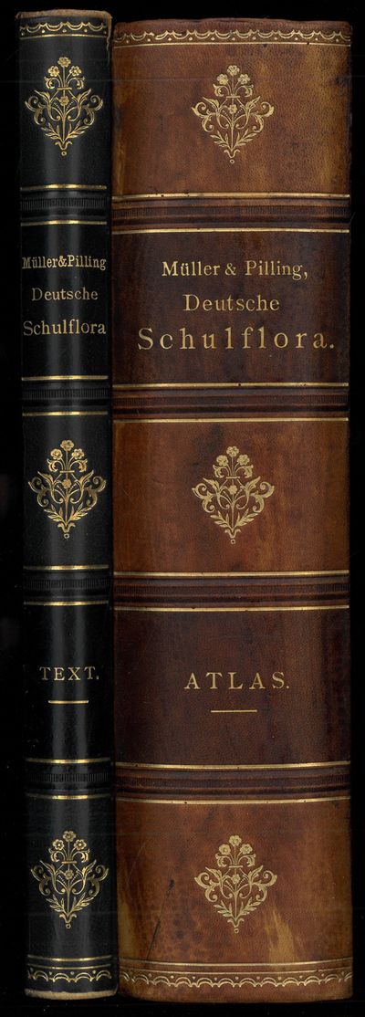 Deutsche Schul-Flora herausgegeben von (...). Mit 240 Abbildungen in feinstem Farbendruck. I-II. (photo 2)