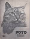 View Image 1 of 6 for FOTO: BOLETÍN MEXICANO DE FOTOGRAFÍA, (TOMO I, Nº 4; TOMO II, N° 10; TOMO III, Nº 1; TOMO III, ... Inventory #119632