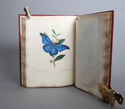 An Epitome of the Natural History of the Insects…