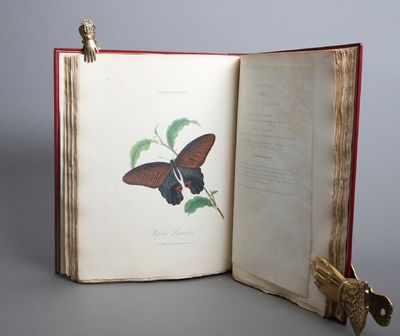 An Epitome of the Natural History of the Insects of China: comprising figures and descriptions of upwards of one hundered new, singular, and beautiful species; together with some that are of importance in medicine, domestic economy, &c. The figures are accurately drawn, engraved, and coloured, from specimens of the insects; The descriptions are arranged according to the system of Linnæus; with references to the writings of fabricius, and other systematic authors. (photo 2)