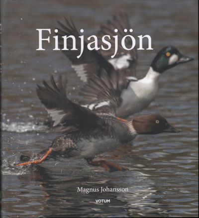 FINJASJÖN.