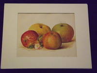 The Fruit Grower's Guide: Apples.