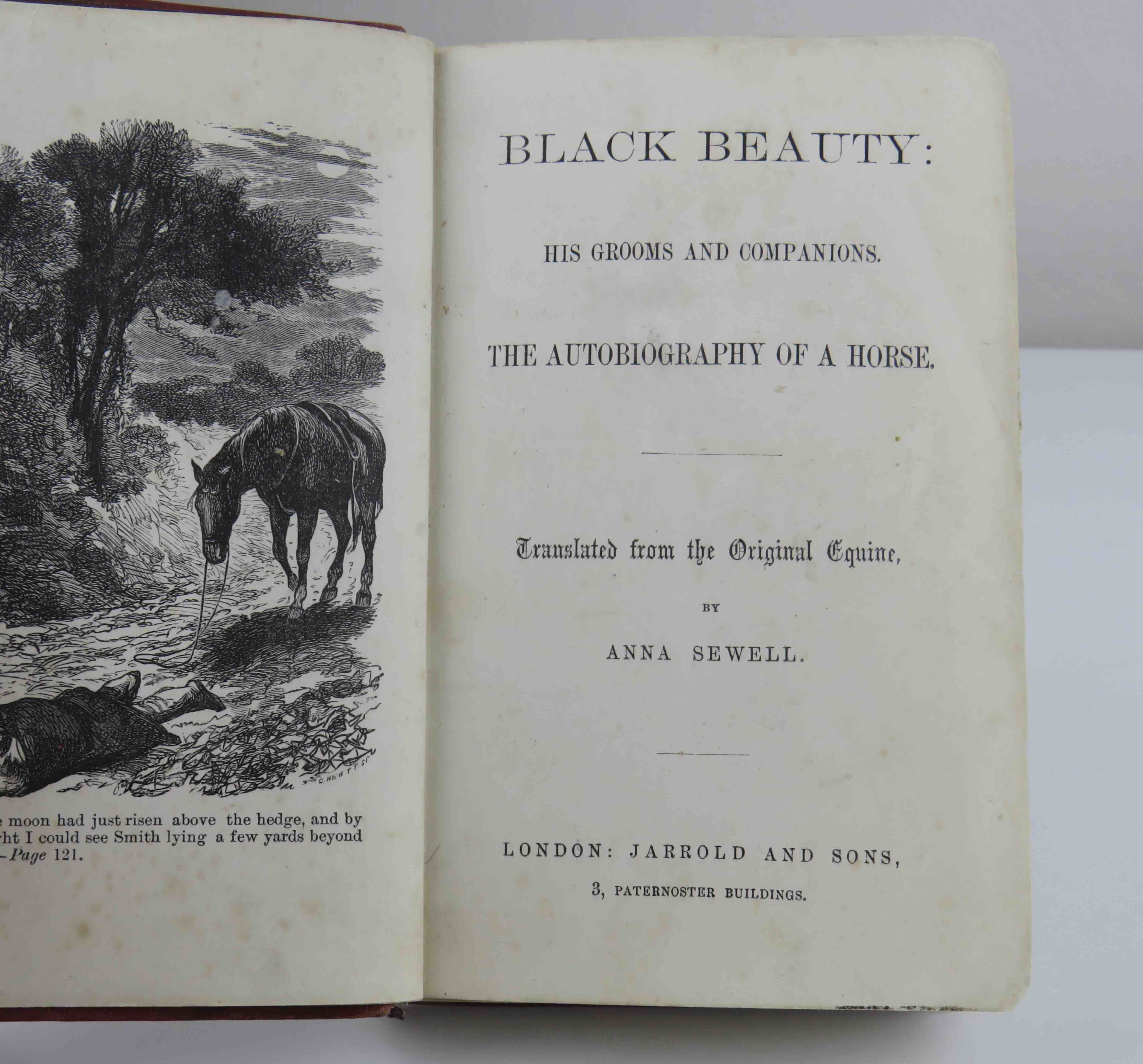 BIBLIO Black Beauty by Sewell, Anna 1877 Jarrold and Sons
