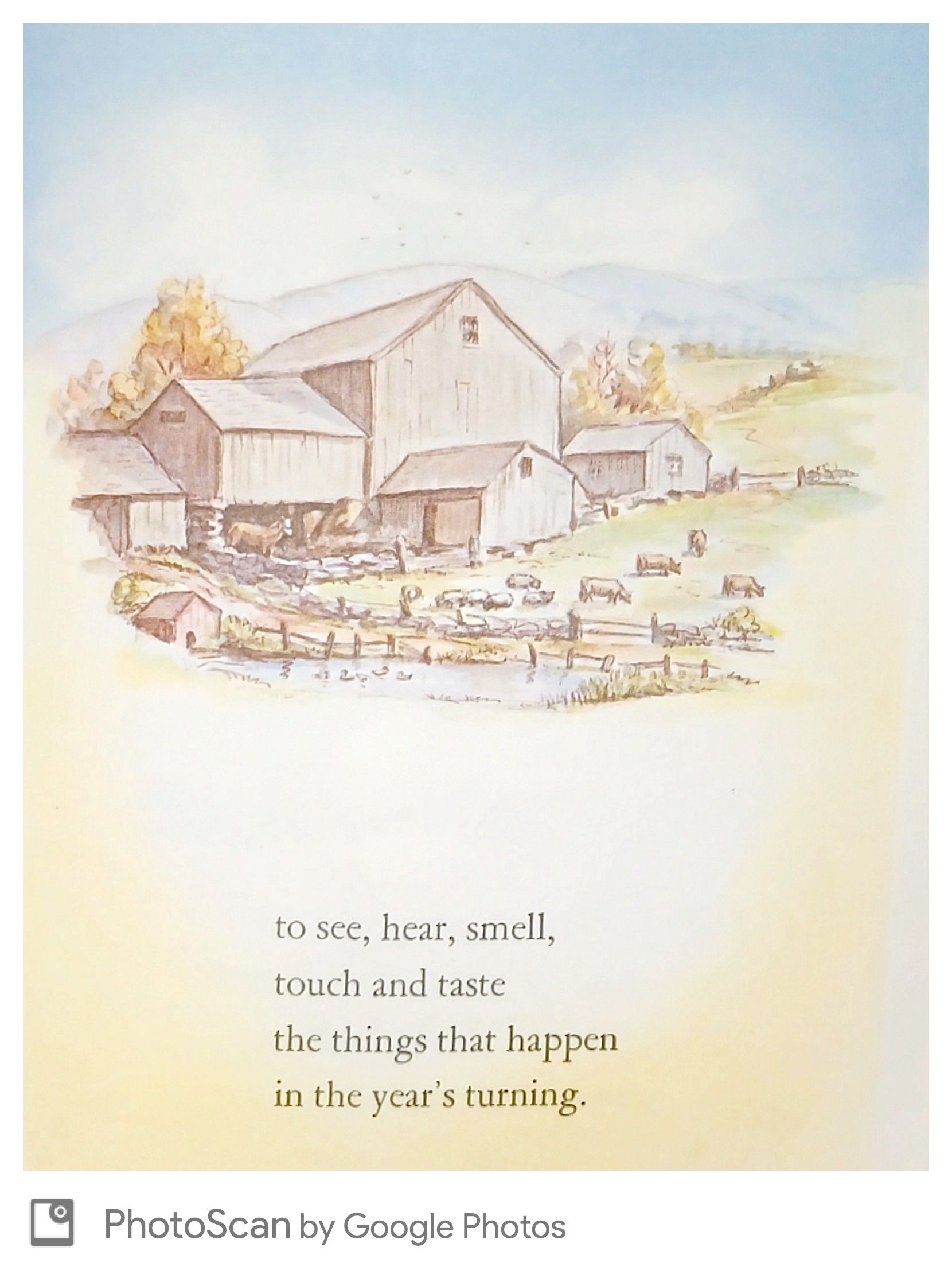 First Delights: A Book about the Five Senses by Tasha Tudor | HB | 1966 ...