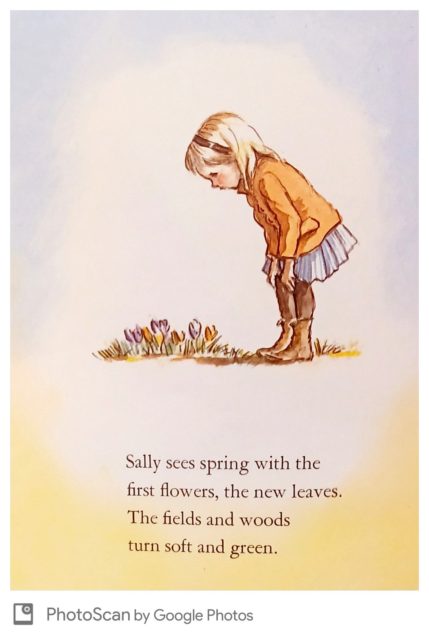 First Delights: A Book about the Five Senses by Tasha Tudor | HB | 1966 ...