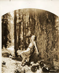 cover of Original Still From Noah's Ark