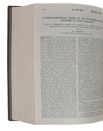A Three-dimensional Model of the Myoglobin Molecule Obtained By X-ray Analysis. - [THE DAWN OF STRUCTURAL  BIOLOGY] (photo 2)