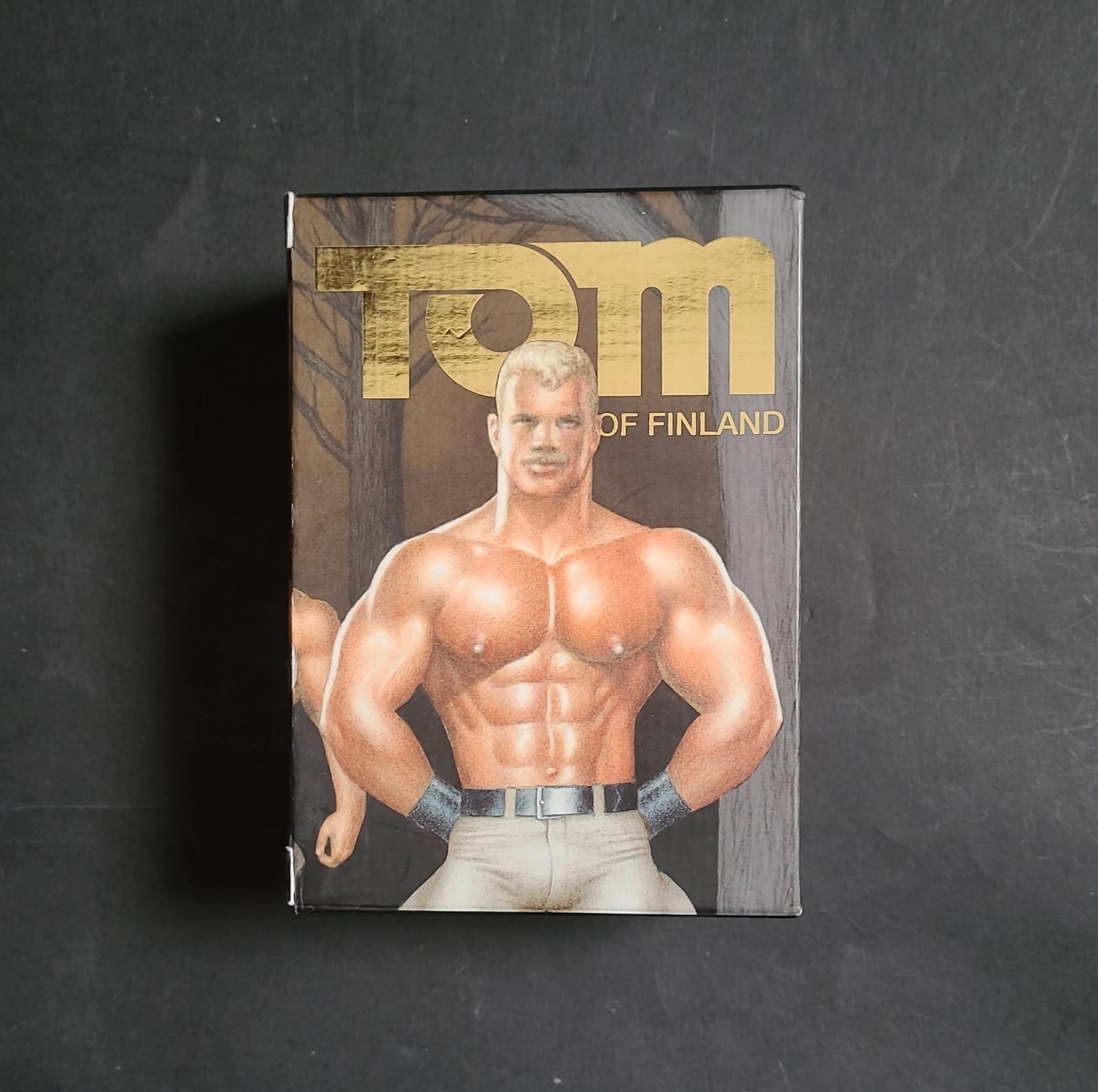 Tom of Finland: The Comic Collection by Dian Hanson (Editor