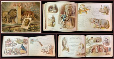 Sketches at the Zoo from a Comic Point of View