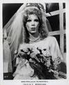 THE COCKETTES | TRICIA'S WEDDING [1971] Photo