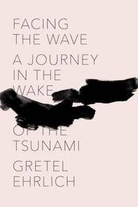 Facing the Wave : A Journey in the Wake of the Tsunami