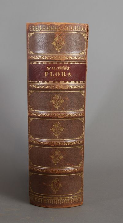 Flora eller Colorerede Afbildninger af pragt-Blomster, med dansk og tydsk Beskrivelse. (photo 3)
