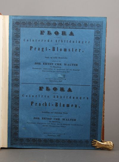 Flora eller Colorerede Afbildninger af pragt-Blomster, med dansk og tydsk Beskrivelse. (photo 4)