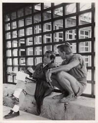 cover of Spartacus (Original photograph of Stanley Kubrick and Kirk Douglas on the set of the 1960 film)