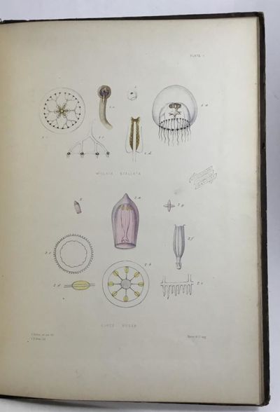 A Monograph of the British Naked-Eyed Medusae…