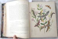 image of British Moths and their Transformations