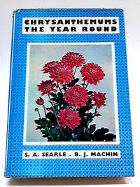 Chrysanthemums The Year Round