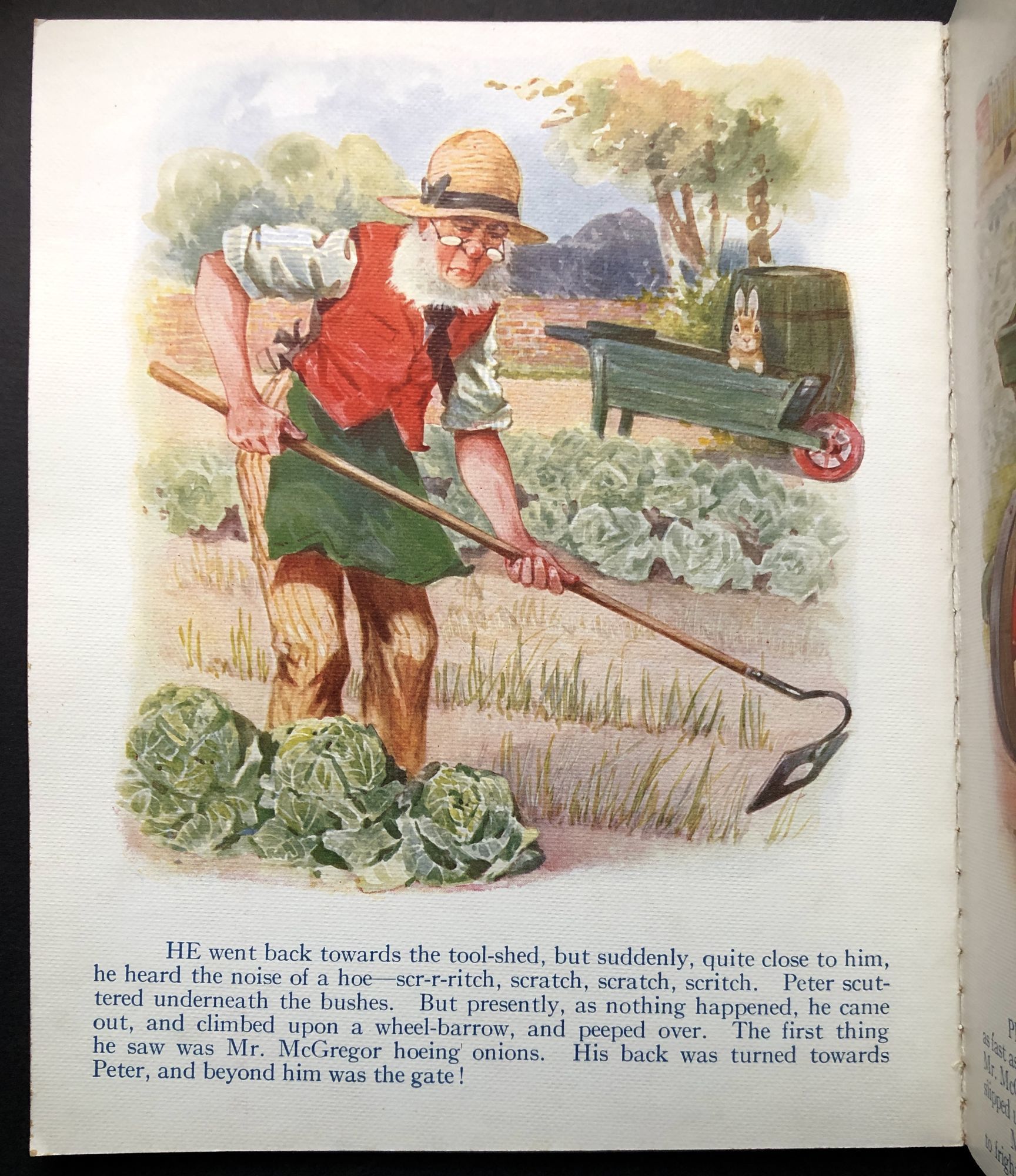 Peter Rabbit Sam The Tale of Peter Rabbit -- on