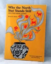 cover of Why the North Star Stands Still