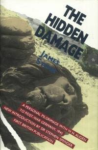 image of The Hidden Damage