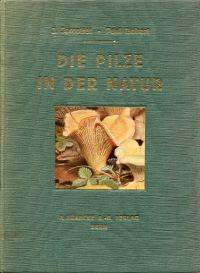 Die Pilze in der Natur.