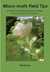 Micro-Moth Field Tips: A Guide to Finding the Early Stages in Lancashire and