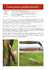 Micro-Moth Field Tips: A Guide to Finding the Early Stages in Lancashire and