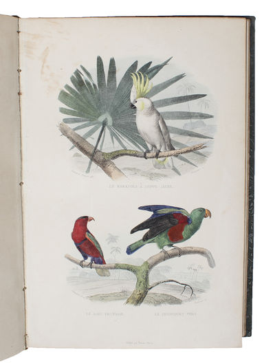 Oeuvres Complétes de Buffon, avec des Extraits de Daubenton et la Classification de Cuvier. 6 vols. + Plates. (Vol. 1-2: Materies Generales,Theorie de la Terre, Mineraux - vol. 3-4: Mammafieres. - vol. 5-6: Oiseaux). (photo 4)