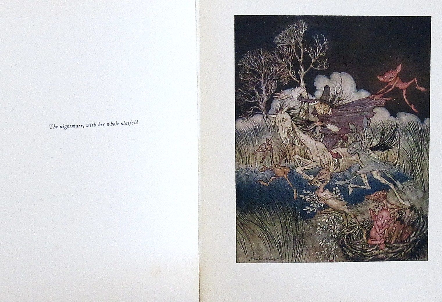 The Legend of Sleepy Hollow Illustrated by Arthur Rackham by Irving ...